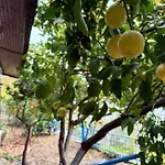 Elli\'S Villa